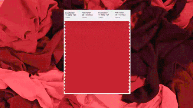 微信圖片_20210619163748.gif